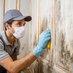 Jupiter Mold Remediation Services: Tips for Homeowners